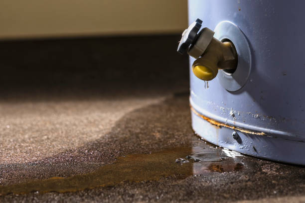 Professional Water damage restoration in Parsons, WV