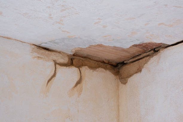Best Ceiling water damage repair  in Parsons, WV