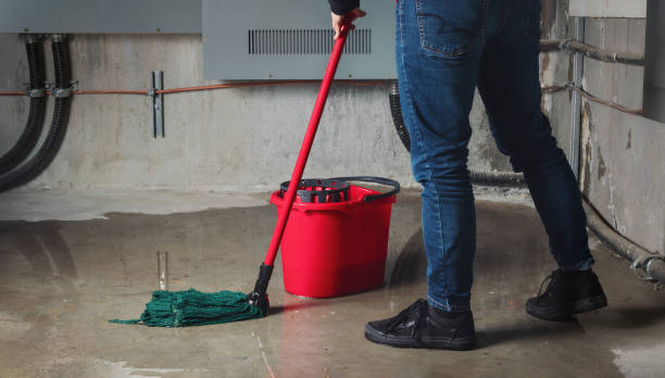 Best Flood restoration services  in Parsons, WV