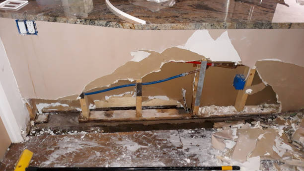 Best 24/7 water damage repair  in Parsons, WV