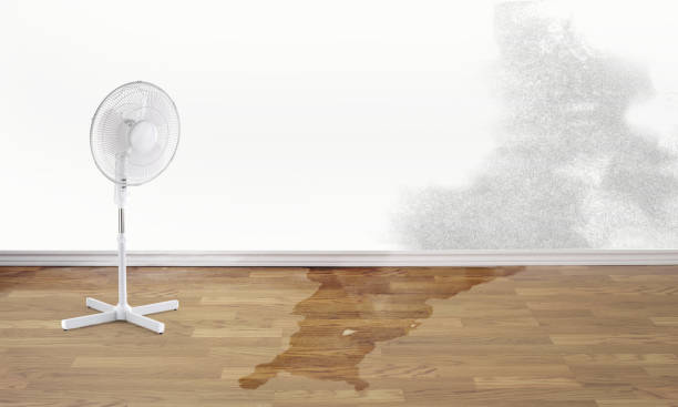 Best Water damage restoration cost  in Parsons, WV