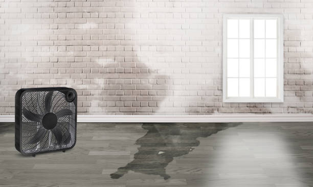 Best Emergency water damage restoration  in Parsons, WV